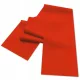  Fascia per esercizi MASTER 120 x 15 cm