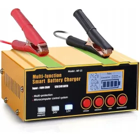    Caricabatteria per auto 12V/24V, caricabatterie intelligente con schermo LCD