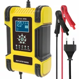  Raddrizzatore LCD automatico 12V/24V, 12A/6A