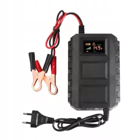    Manutentore di mantenimento caricabatteria compatto da 12 V per
