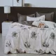 Set di Biancheria da Letto in Cotone Satinato Premium 200x220 cm - Varie Fantasie