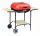  CARRELLO GRILL RETTANGOLARE ACTIVA BASICLINE CON COPERCHIO 46 CM 19524