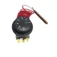  Termostato con capillare 0-120C R12-3 per affumicatoio BORNIAK UW-70 UW-150