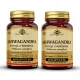 Solgar Ashwagandha: Supporto Naturale per il Benessere e la Resistenza allo Stress, 60 Capsule x2