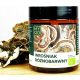 Coriolus Versicolor BIO in Polvere 100g - Potenzia le Difese Immunitarie Naturalmente