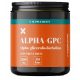 Alpha GPC 500mg - 30 Capsule | Nootropico per Memoria e Cognizione - X-Supplements