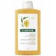 Shampoo Nutriente al Mango per Capelli Secchi, 400ml