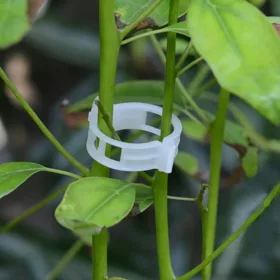    100 clip di supporto per traliccio per piante da giardino di pomodori e verdure