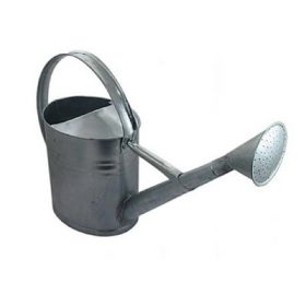    Annaffiatoio XL, 10 l, metallo, sfumature di grigio e argento