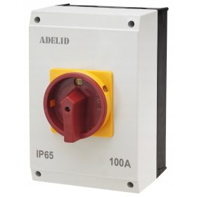 INTERRUTTORE PRINCIPALE SEZIONATORE 100A 4P ENTRAMBI