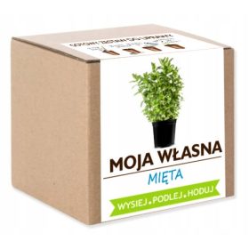  Kit di coltivazione MENTA