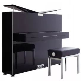    Pianoforte puro e nobile che dà le ali all'anima del pianista