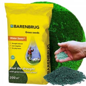  Erba decorativa da giardino Barenbrug 200 m² 5 kg