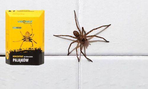 Spray anti-ragni extra forte – 30 ml | Effetto a lungo termine fino a 6 mesi