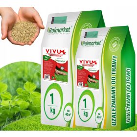  Miscela di erba da giardino Rolmarket 80 m² 2 kg