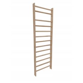  Scala da allenamento Dremar 245 cm x 90 cm