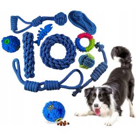    Un set di 10 giocattoli per cani: una palla con dolcetti, bocconcini e strattoni