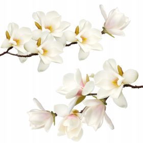  Adesivi murali Magnolie progettate 100 x 50 cm