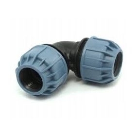  Ginocchio di pesce 0696