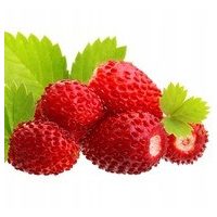 Semi di piante da frutto