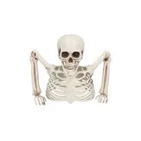 Scheletri e teschi per Halloween