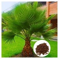 Semi di alberi e arbusti ornamentali