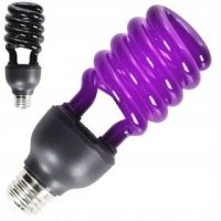 Lampadine e accessori